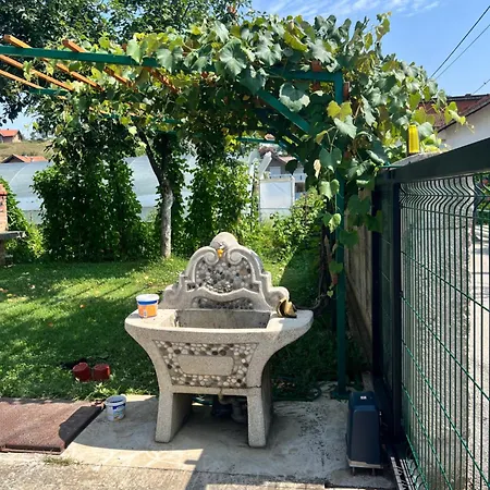 Apartament Sweet With Garden