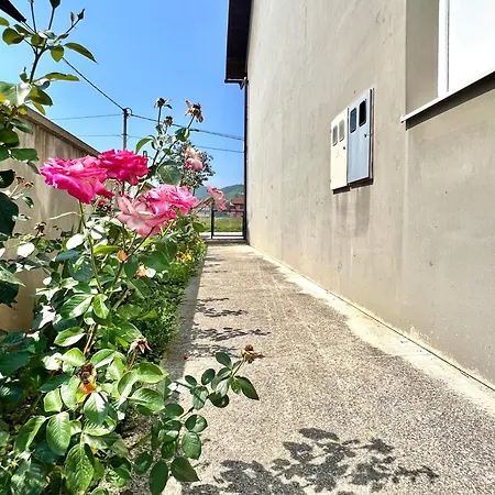 Sweet With Garden Apartamento